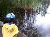 Pic-06252013-005