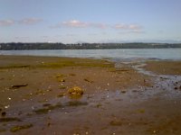 Pic-07022013-001  Low tide beach walk.