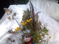 Pic-06102013-004  More wildflowers for a friend who hosted coffee and muffins on her boat Monday morning.