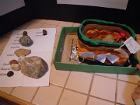 IMGP9134  The rocks are from our yard as well. He identified them with his Rocks and Minerals book and laid them all out to be seen.