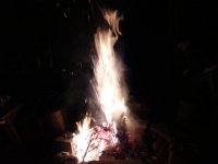 Burns Night 2014 017  And closing ceremonies. Burning the Christmas tree. : Burns Night 2014