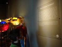DSC00280