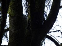 DSC00446