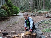 DSC00473  Chopping wood. Such a great helper.