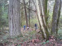 20140309 145926  Steering them off trail through the woods.