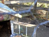 20140404 165410  Someone pecked out a window, so instead of getting ahead of chores and spring cleanup, I managed to fall behind because I had a chicken pane to replace. Got plexiglass this time!