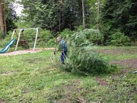 IMG 6015  We also cleared out a garden area and some underbrush so that the...