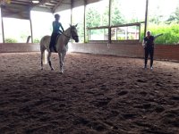 Dressage clinic