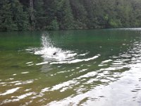 20140626 160711  Just like in Hawaii. So fun to see him having a great time in the water for HOURS!