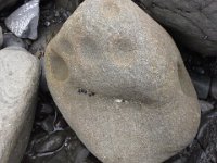 20140804 125353  I told the boys this was some sort of sea monster's footprint in the rock :)