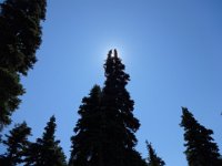 DSC00882