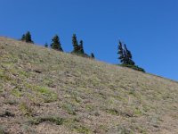 DSC00903