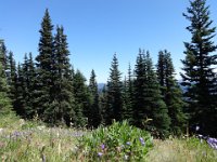 DSC00909
