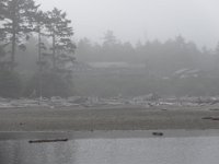 DSC00992