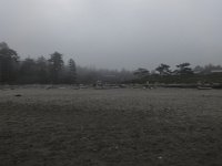 DSC00996