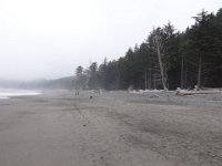 DSC01071