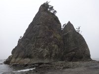 DSC01085