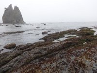 DSC01089