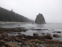 DSC01104