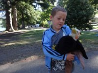 DSC01187  Ben got a new friend, Battie, and Eagle is getting to know him.
