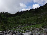 DSC01308