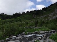 DSC01311