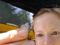 20140823 120034  Mommy got the find of the day right off with a big hunk of pyrite! Pretty exciting!