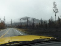 DSC01353  Driving north through the Okanagan where a forest fire had gone through some years before. It looked much more recent to us, though. The black trees and ground contrasted with the mist of the rain and clouds for a very striking drive. You could almost imagine that the fires were still going. As a matter of fact, a sign was up saying "Emergency Crews Ahead" so I really did wonder what was up. It still smelled smokey.