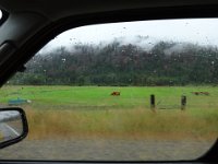 DSC01355  But life goes on - bright green farms being worked.