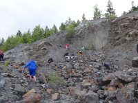 DSC01392  Turns out we were outside on a mine dump again, looking for chalcapyrite, malachite, hematite, Chistmasite.