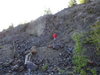 DSC01399  Sam is a solo miner most of the time. He knows that geologists don't like to carry rocks very far, so he ventures out farther to find the stuff which hasn't been picked over much yet.