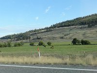 DSC01516
