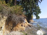 20140807 152613  The tide is coming in!