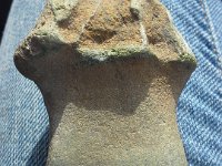 20140809 111413  Going to a rock show in Edmonds. I am convinced this is an aboriginal tool. Think anyone will agree with me?