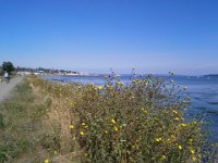 20140810 153323  Going back to Port Townsend.