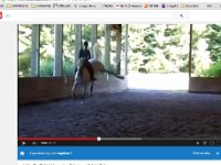 Clinic with Bill  Like the little side-kick-buck? That was fun! This is at a dressage clinic where I am trying to master canter departs from the walk.