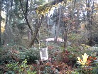 20141101 155906  Cleaning up the woods after Halloween is nice. I enjoy the walk finding 23 lanterns.