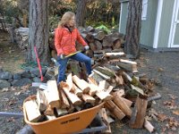20141115 141110  I'm making good progress with all the trees we felled over the summer.
