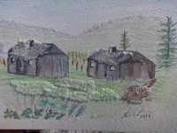 DSC01768