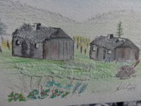 DSC01769