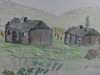 DSC017691