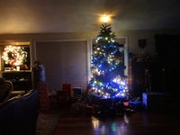 DSC01774