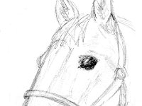 Emmy1  Sketches under wayfor a present for Steve, Emmy's owner.