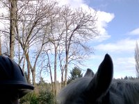 20150318 140016  Trying to get a selfie with Emmy. OMG.