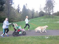 20150331 142130  I got the jogging stroller fixed up to be our sag wagon/ gear storage. It was a big hit!