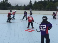 sabres action1