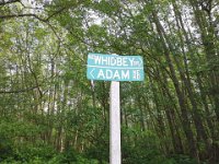 20150510 143410  Look at the street we found!