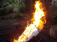 20150913 111541  Quite the inferno...