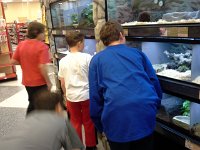 20151111 163445  Then to PetCo to check out snakes. Sam would LOVE a snake for Christmas.