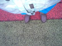 20151114 091355  Back at a wet soccer game